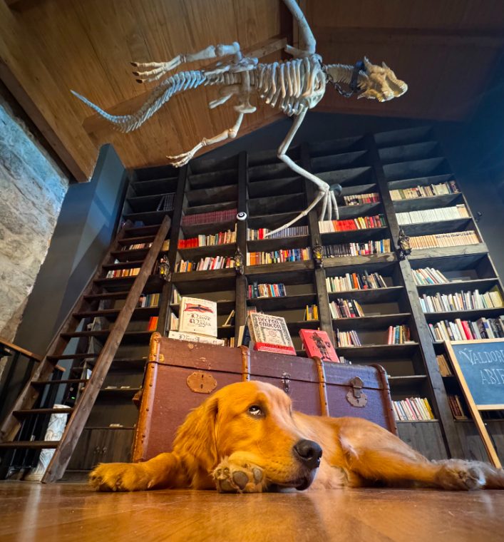 Rincón de la librería Valdorum