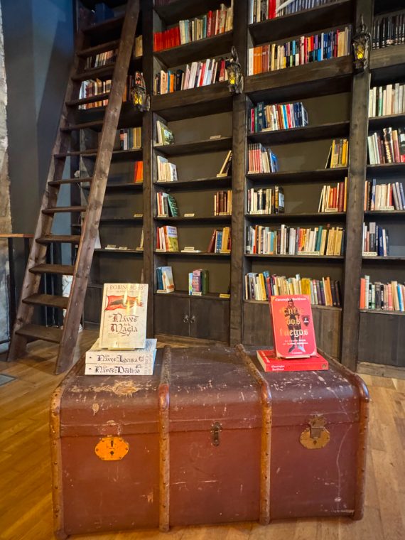 Rincón de la librería Valdorum