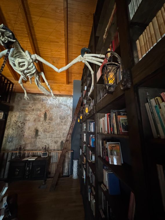 Rincón de la librería Valdorum